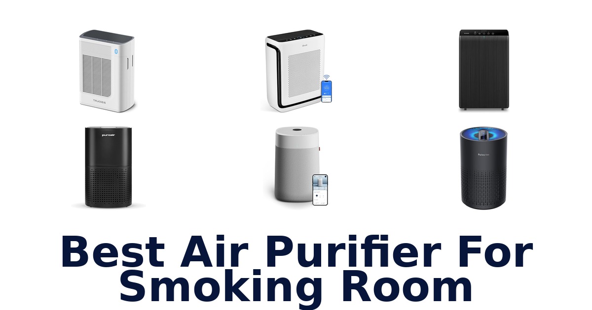best air purifier for smoking room