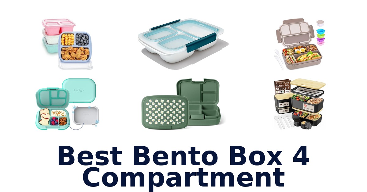 best bento box 4 compartment