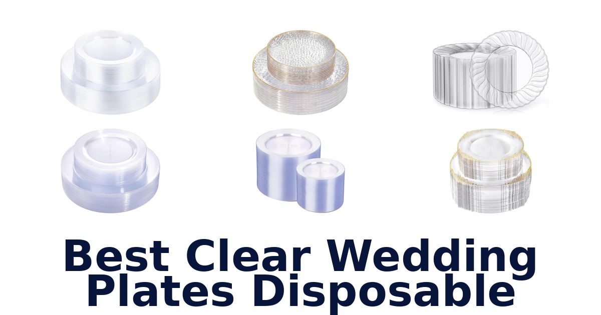 best clear wedding plates disposable