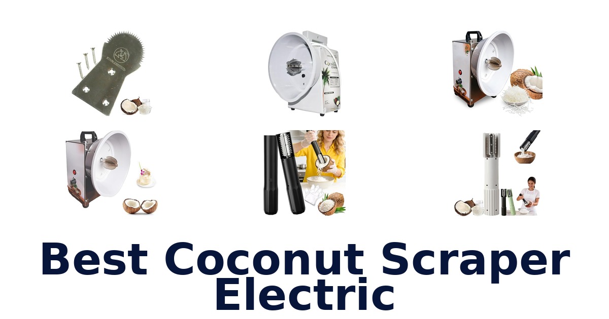 best coconut scraper electric