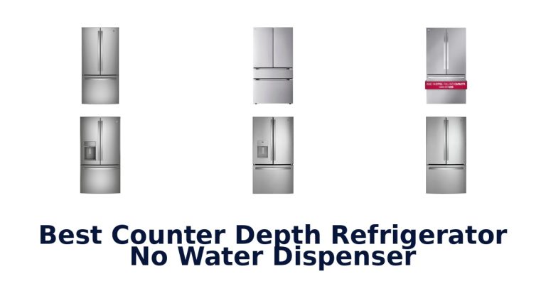 best counter depth refrigerator no water dispenser