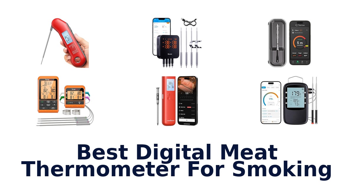 best digital meat thermometer for smoking