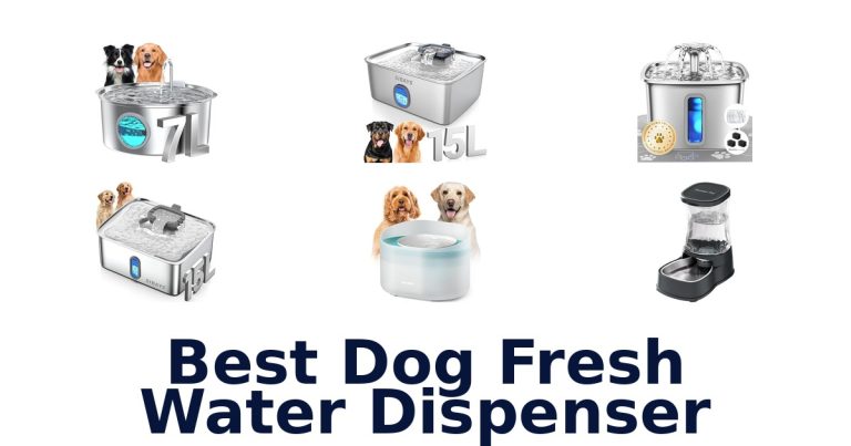 best dog fresh water dispenser
