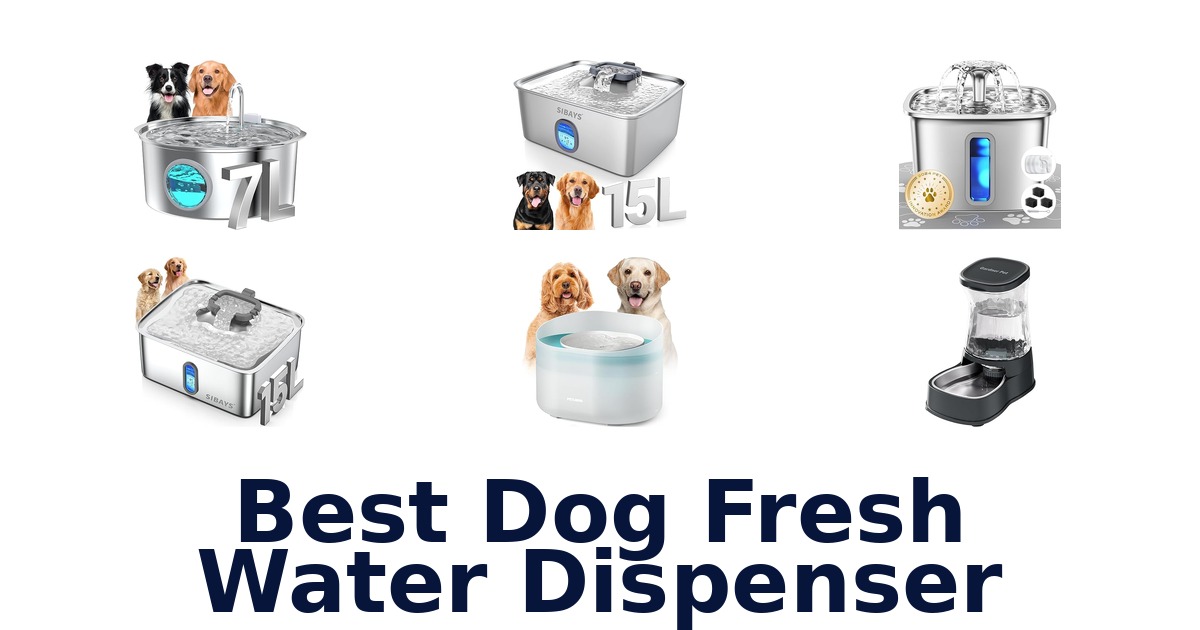 best dog fresh water dispenser
