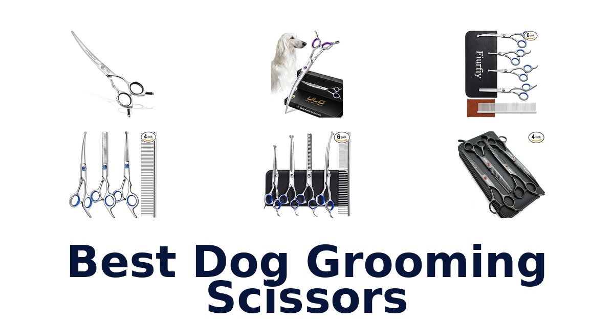 best dog grooming scissors