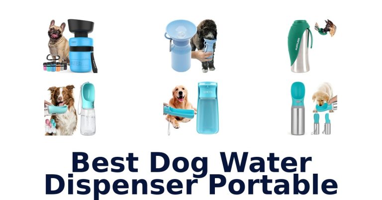 best dog water dispenser portable