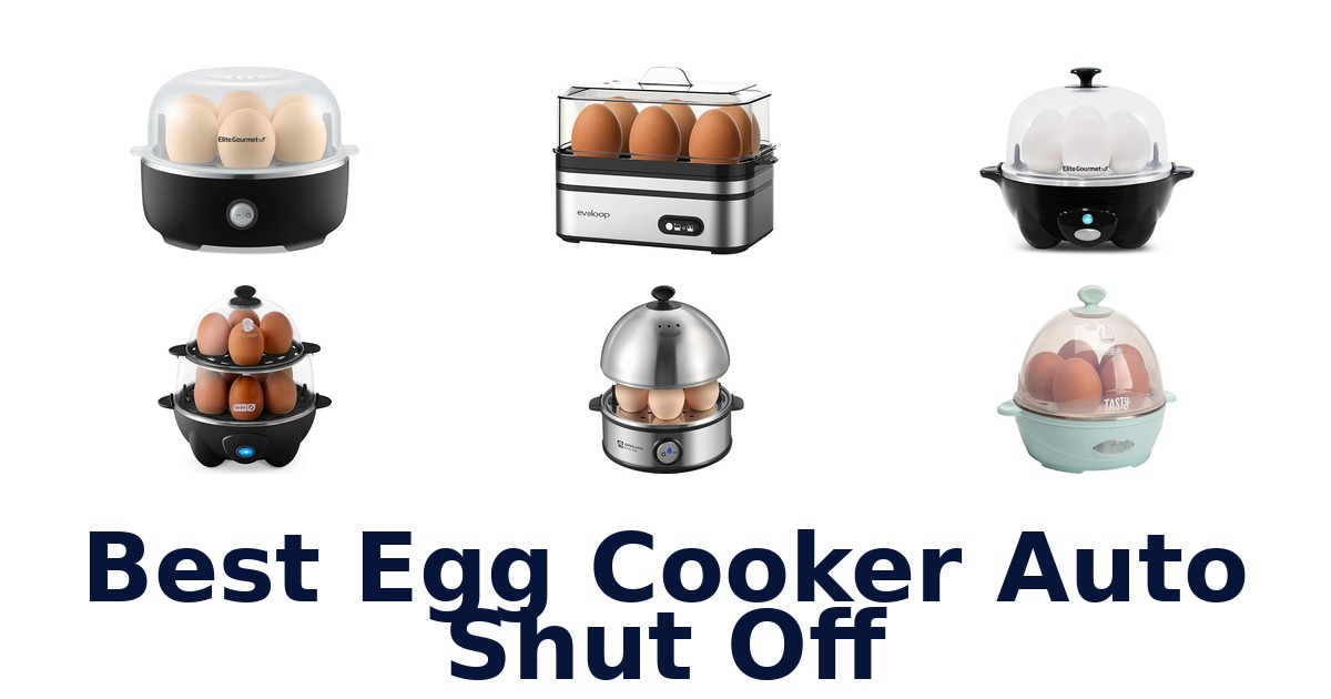 best egg cooker auto shut off