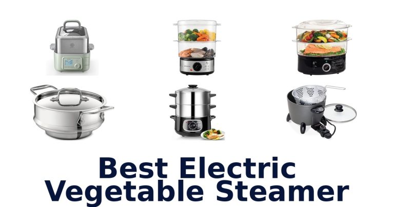 best electric vegetable steamer