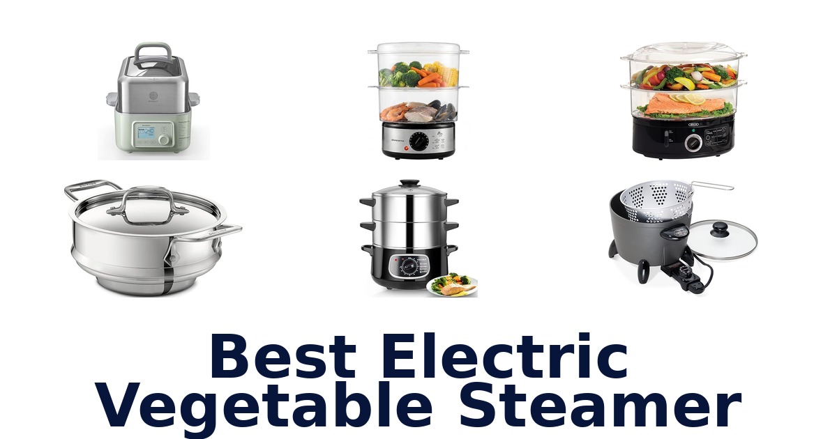 best electric vegetable steamer