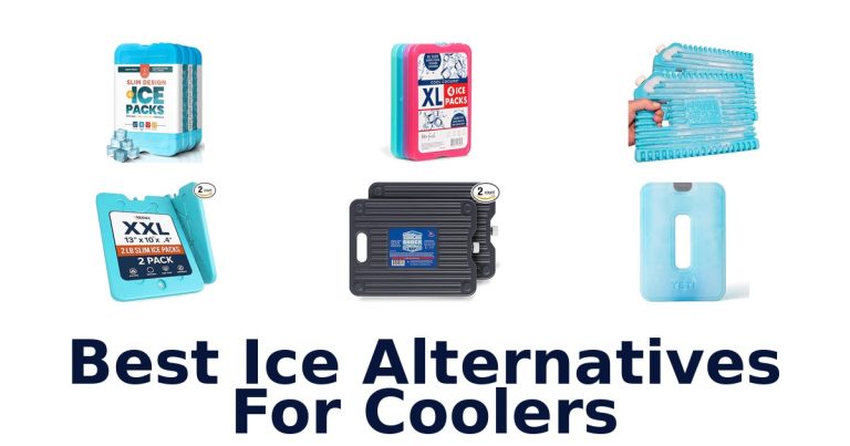 best ice alternatives for coolers