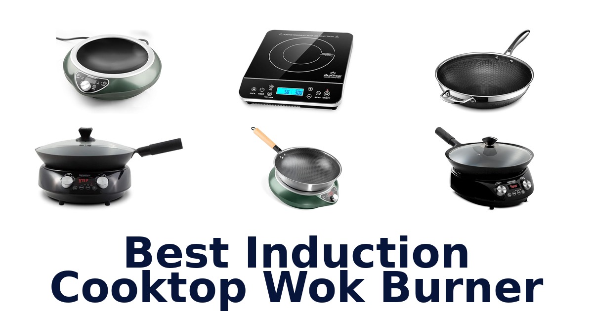 best induction cooktop wok burner