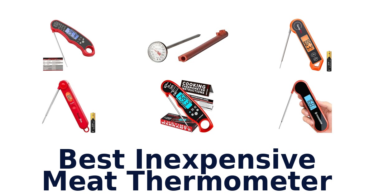 best inexpensive meat thermometer