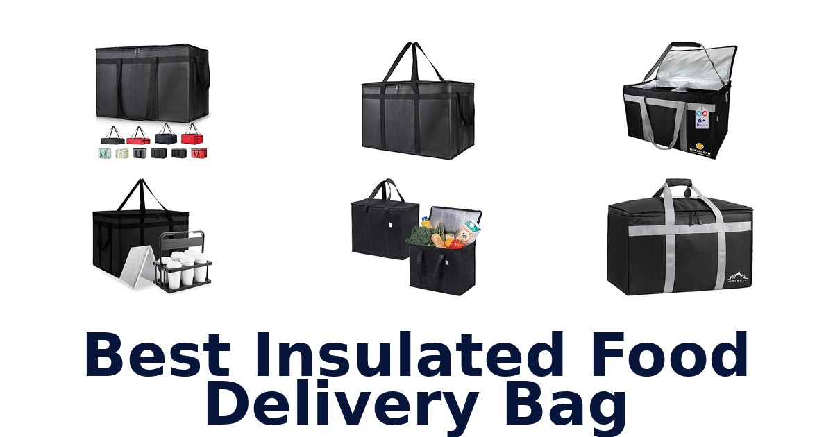 best insulated food delivery bag