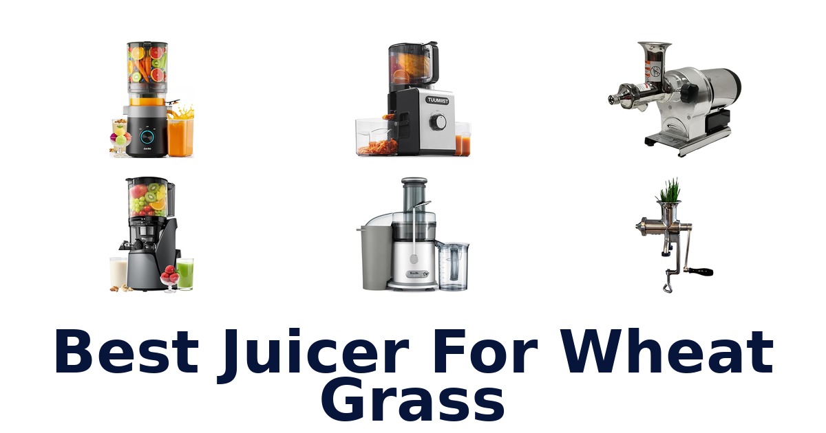 best juicer for wheat grass