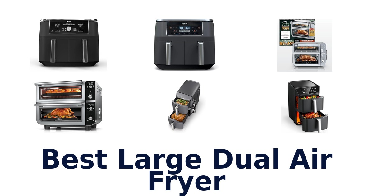 best large dual air fryer