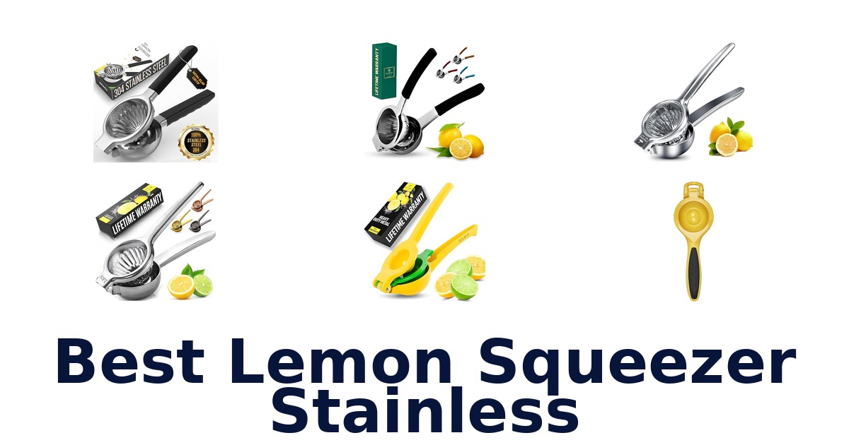 best lemon squeezer stainless