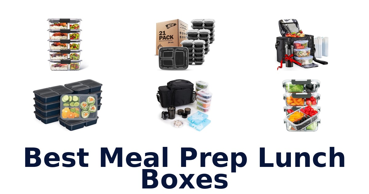 best meal prep lunch boxes