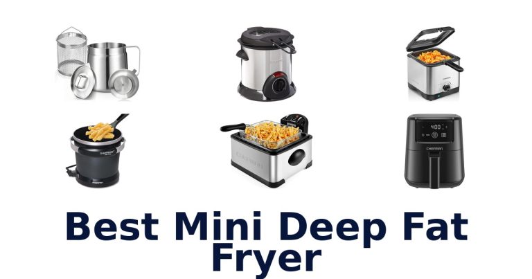 best mini deep fat fryer