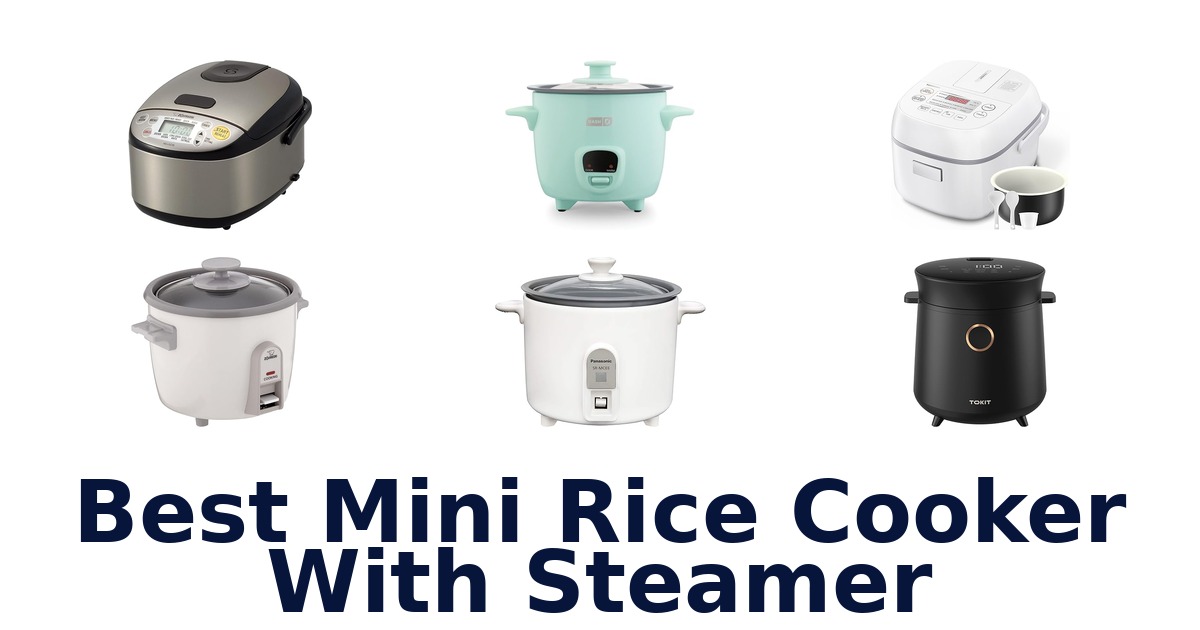 best mini rice cooker with steamer