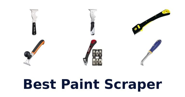 best paint scraper