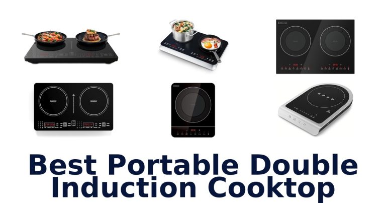 best portable double induction cooktop