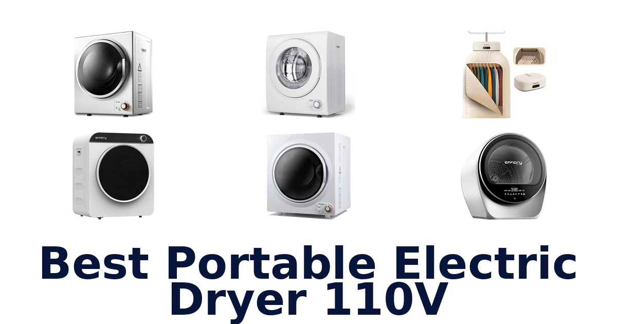 best portable electric dryer 110v