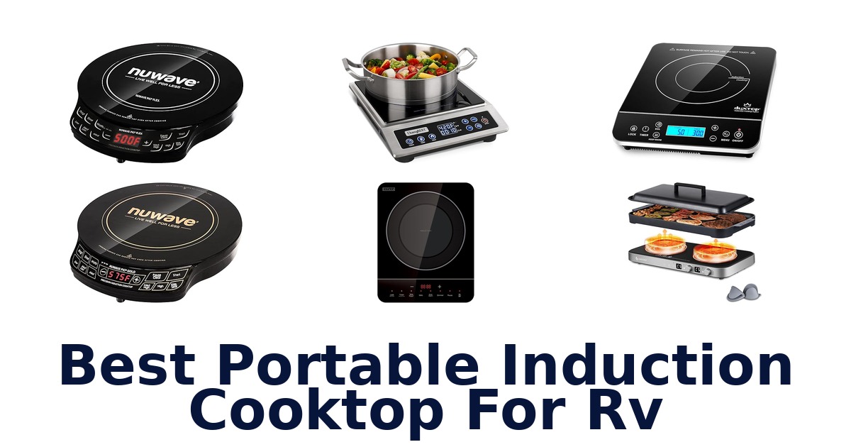 best portable induction cooktop for rv