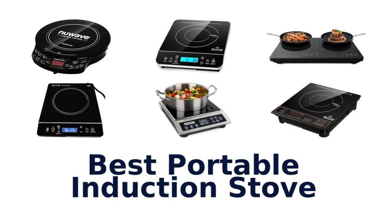 best portable induction stove