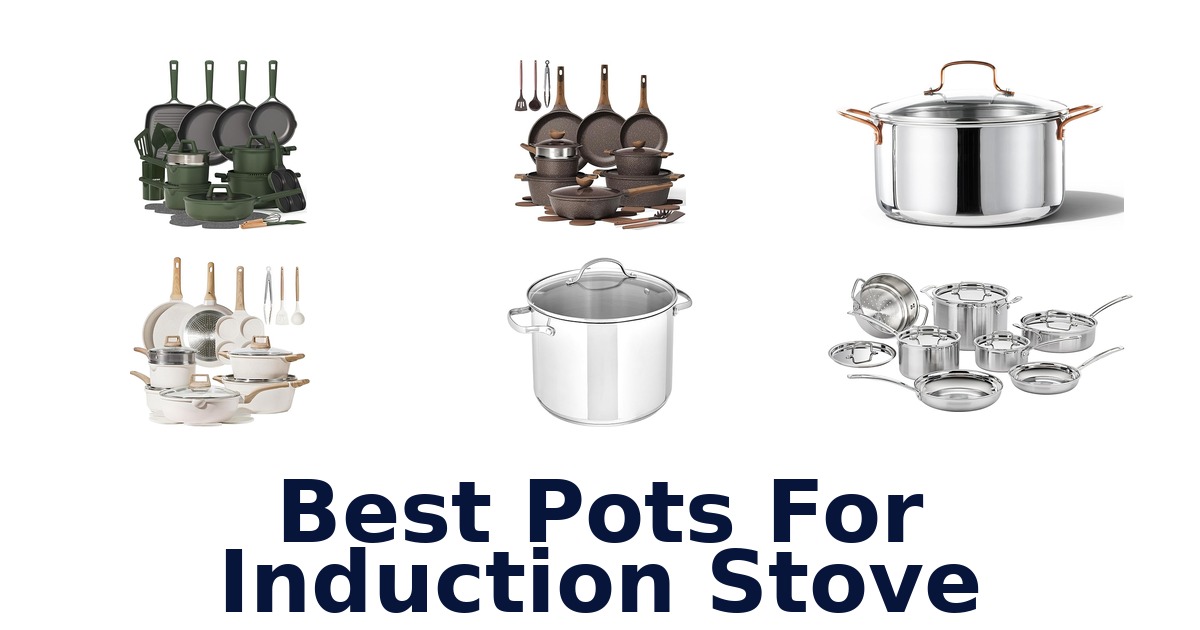 best pots for induction stove