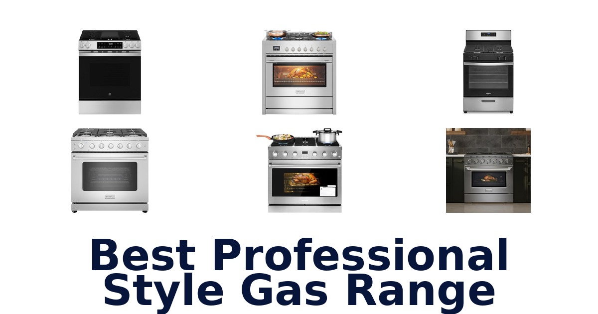 best professional style gas range