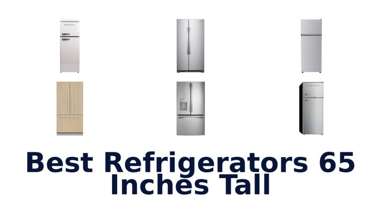 best refrigerators 65 inches tall