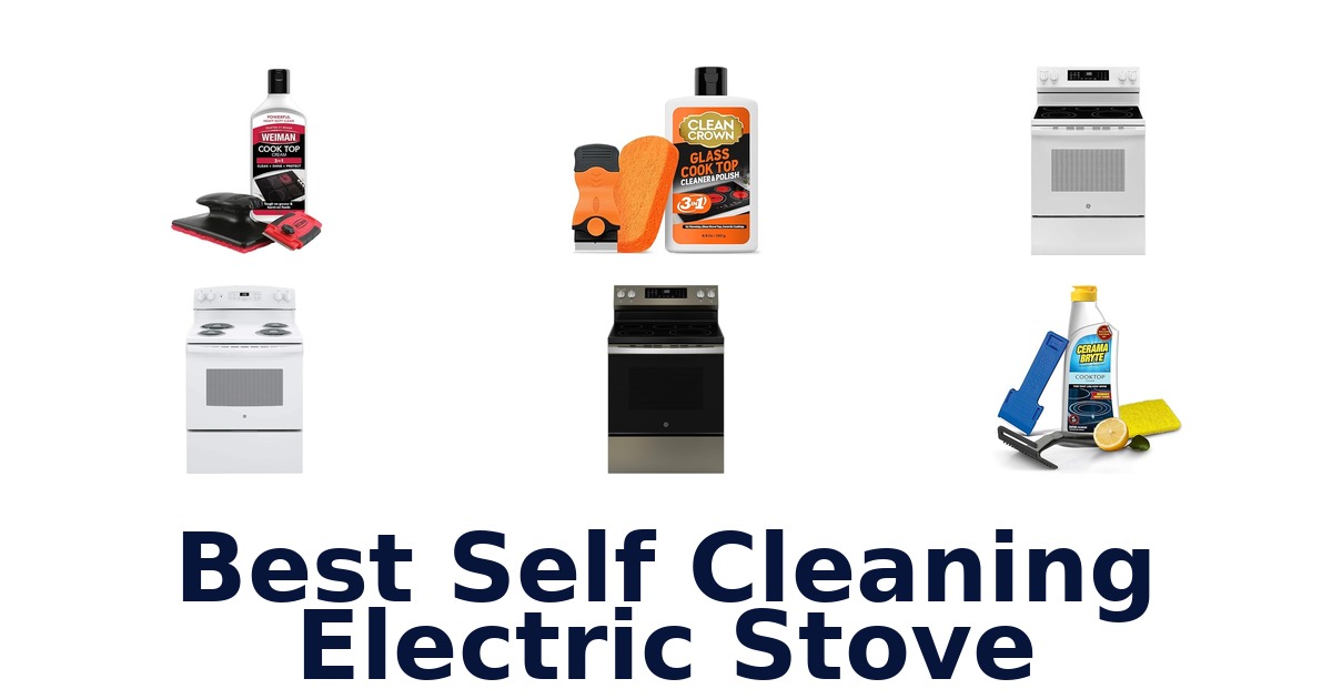 best self cleaning electric stove