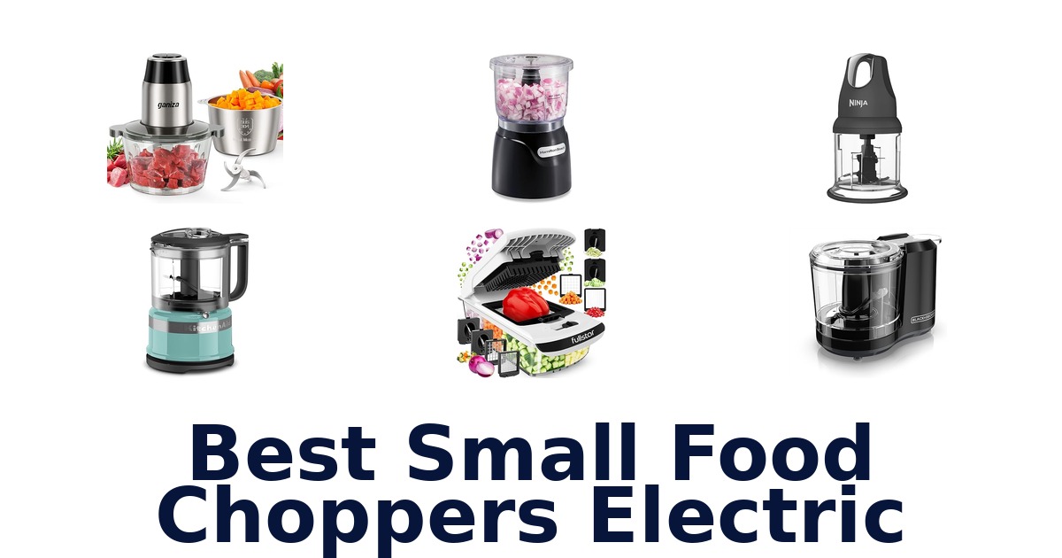 best small food choppers electric