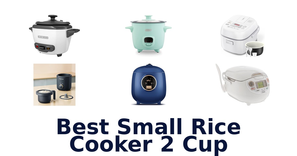 best small rice cooker 2 cup