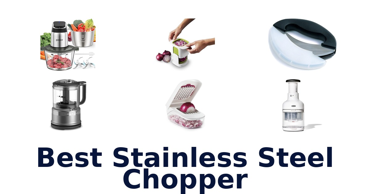 best stainless steel chopper