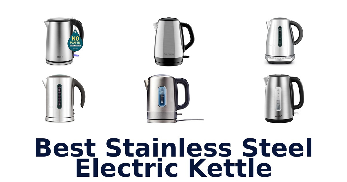 best stainless steel electric kettle