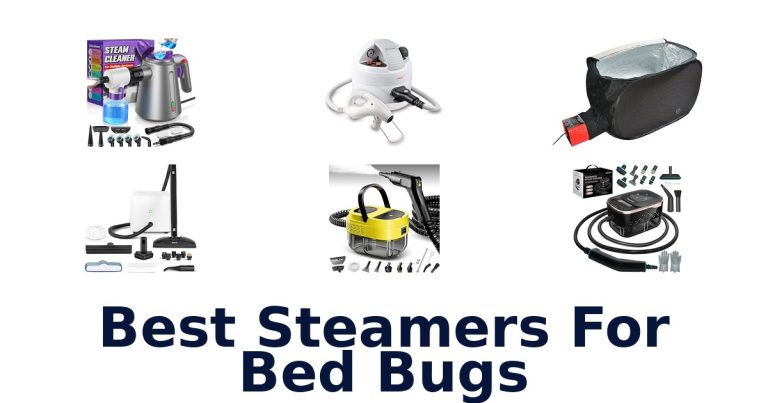 best steamers for bed bugs