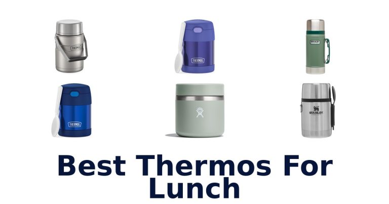 best thermos for lunch