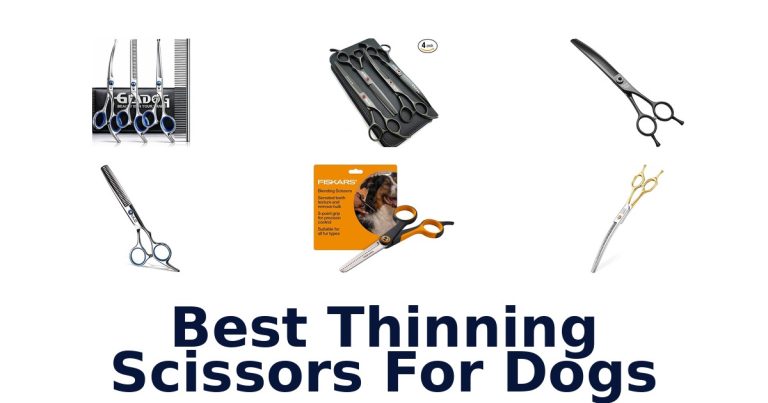 best thinning scissors for dogs