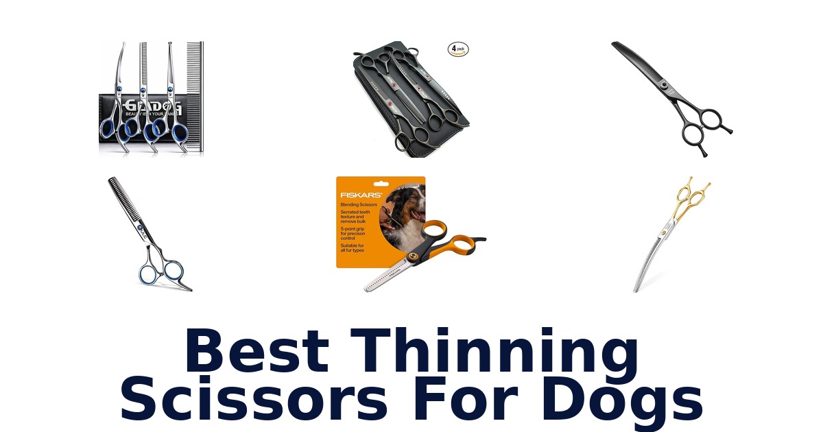 best thinning scissors for dogs