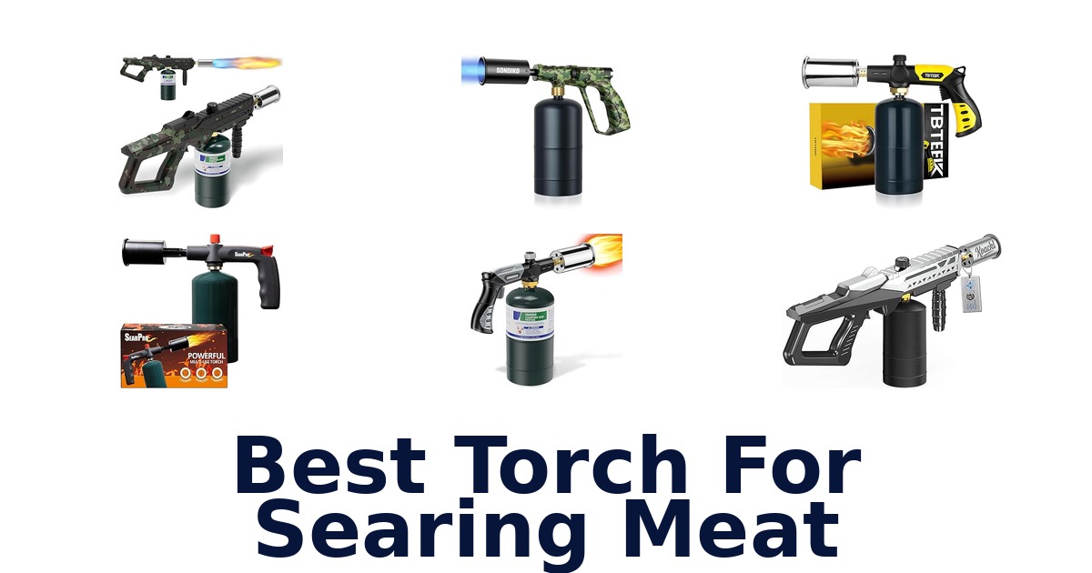 best torch for searing meat