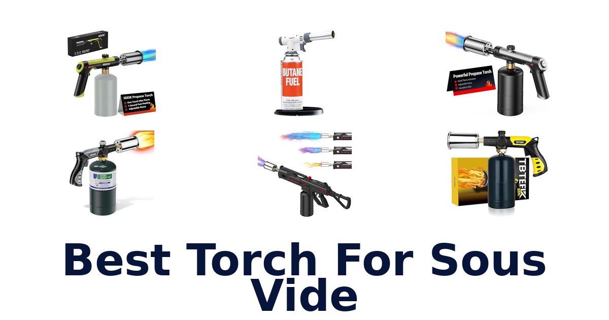 best torch for sous vide