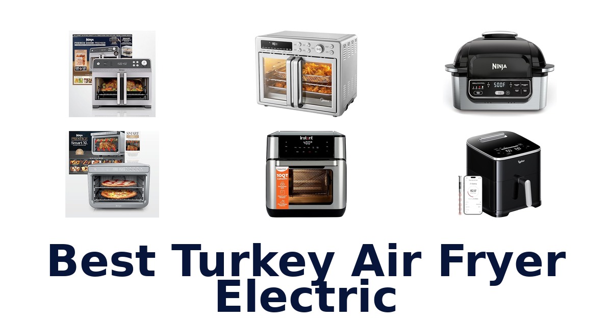 best turkey air fryer electric