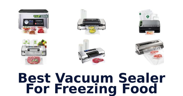 best vacuum sealer for freezing food