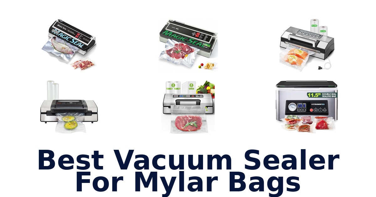 best vacuum sealer for mylar bags