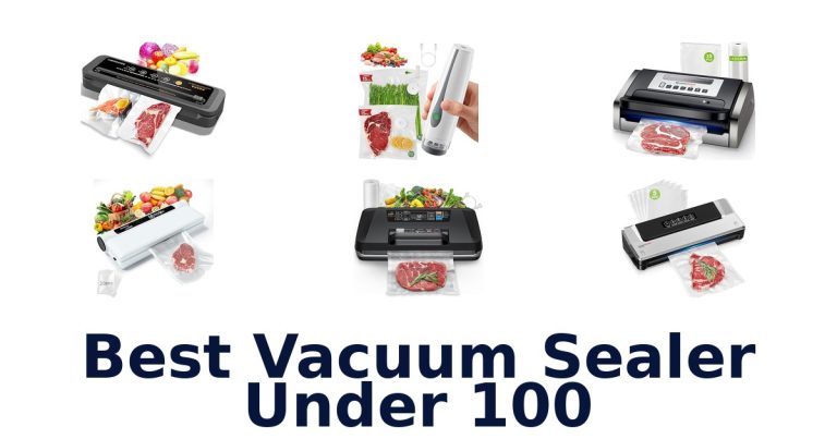 best vacuum sealer under 100