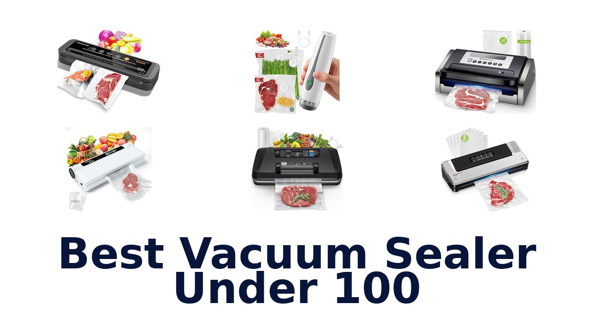 best vacuum sealer under 100