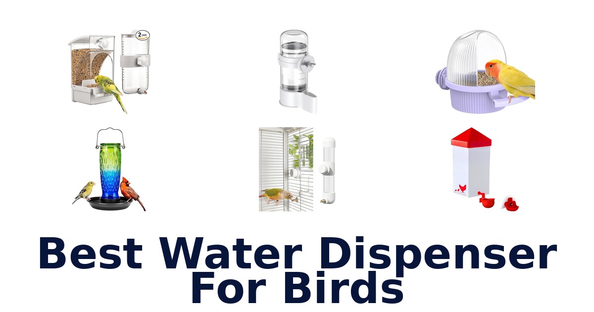 best water dispenser for birds