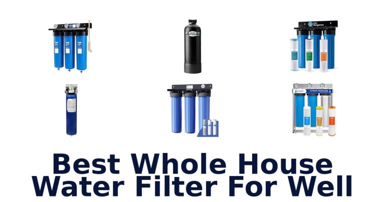best whole house water filter for well