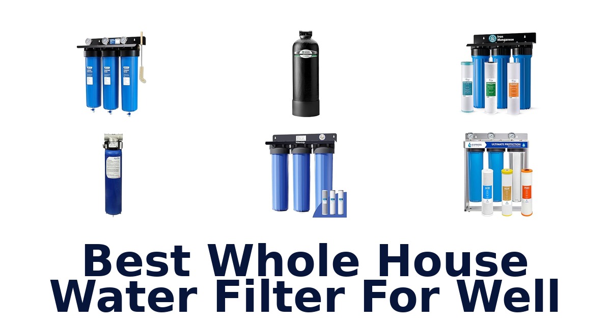 best whole house water filter for well